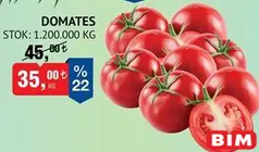 DOMATES KG fiyat ve kampanya bilgisi